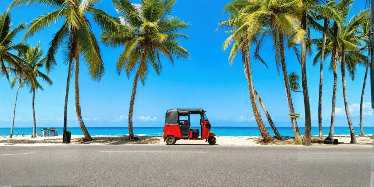 Arugam Bay Travel Guide — Surf Culture, Jungle Safaris & Sri Lanka's Wild East Coast