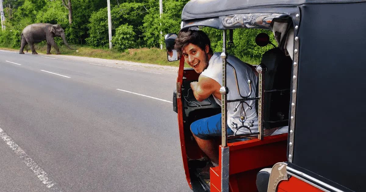The Full Sri Lanka Experience — A Journey Across an Island That Changes Around Every Corner