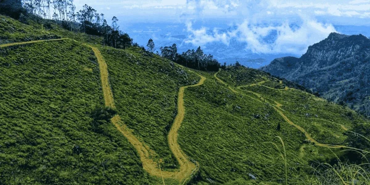 Haputale, Lipton's Seat & Devil's Staircase — Sri Lanka's Misty Tea Mountains, Cloud Forests & Legendary Highland Roads