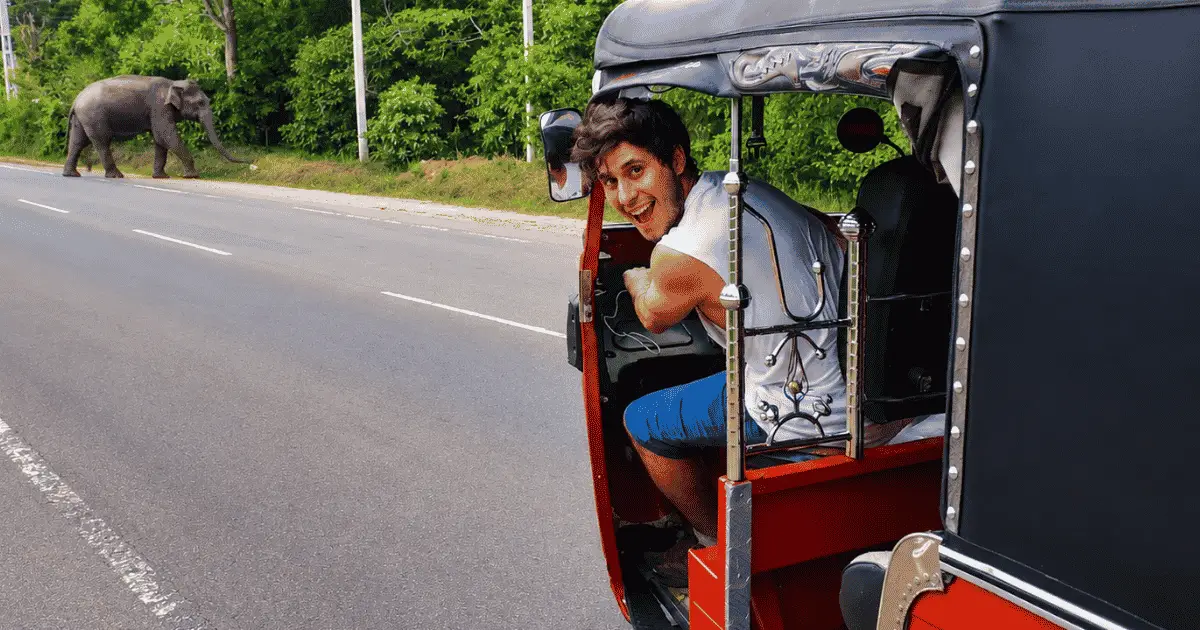 The Full Sri Lanka Experience — A Journey Across an Island That Changes Around Every Corner