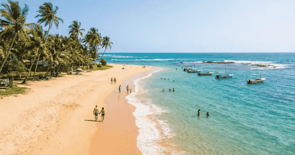 Sri Lanka's south coast during peak season in December — palm-lined beaches and surf towns