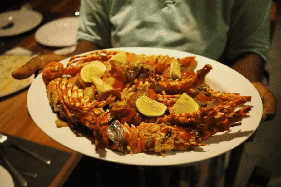 Fresh seafood dinner on the beach in Tangalle — grilled fish, curry and coconut sambol on Sri Lanka's southern coast