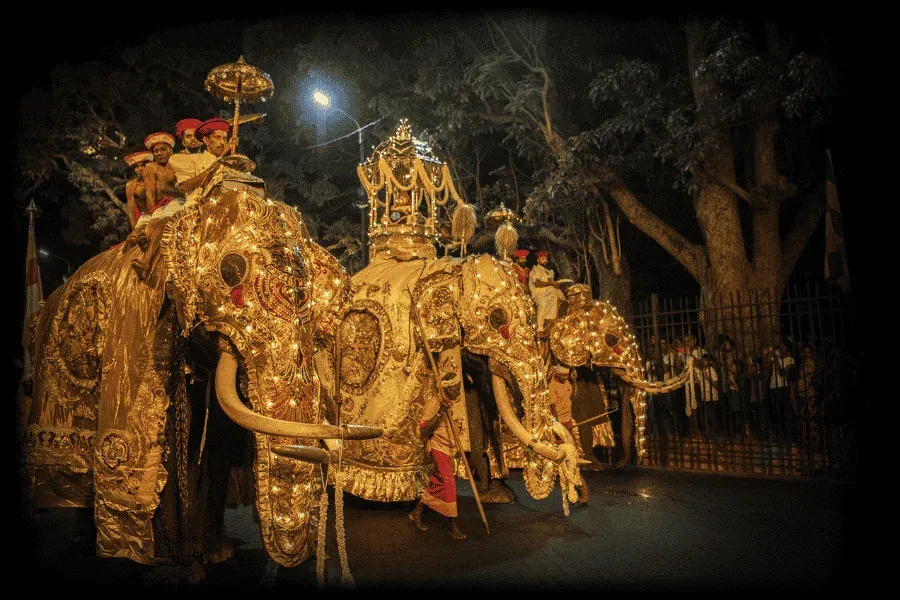 Ceremonial elephants at the Kandy Esala Perahera festival in July and August