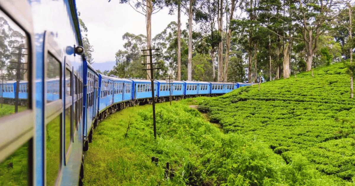 Nanu Oya–Badulla Train Services Resume After Months of Restoration